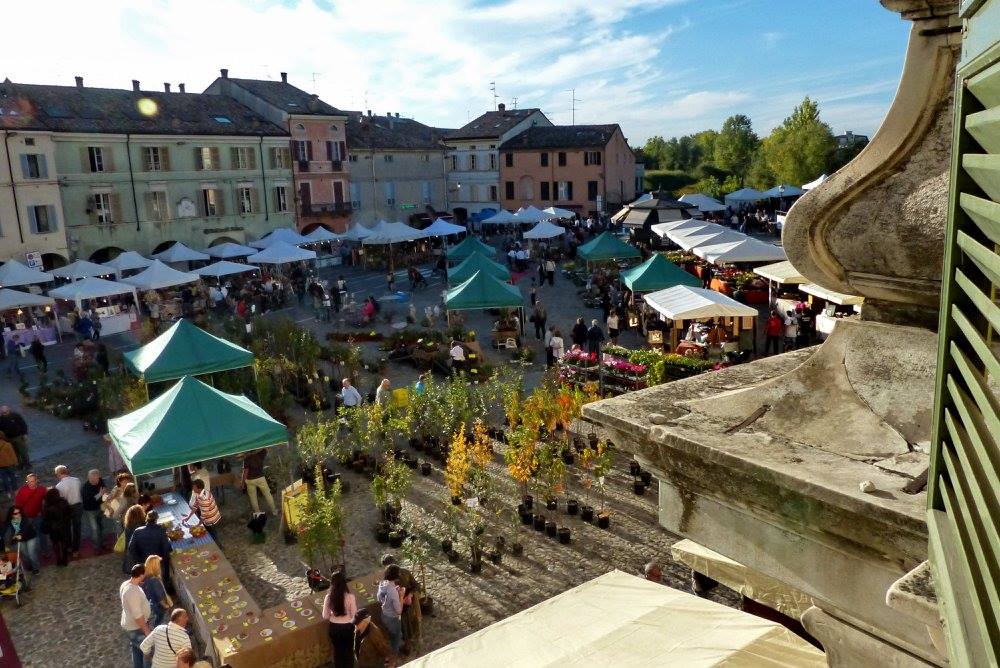 noleggio eventi service